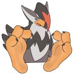  2019 3_toes alpha_channel alternate_version_at_source ambiguous_gender avian barefoot beak biped bird black_feathers claws digital_media_(artwork) feathers feet feral firebadger foot_focus front_view grey_feathers hair hair_over_eye hi_res humanoid_feet looking_at_viewer multicolored_feathers nintendo open_mouth orange_beak pok&eacute;mon pok&eacute;mon_(species) red_eyes red_feathers signature simple_background sitting smile soles solo staraptor tail_feathers toe_claws toes tongue transparent_background video_games white_feathers 