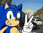  car eulipotyphlan france hedgehog male mammal outside peace_sign_(disambiguation) plant sky smile sonic_(series) sonic_the_hedgehog specialzone vehicle 