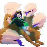  anthro balls big_penis bottomless canid canine clothed clothing erection fox hi_res hoodie male mammal moondogg multi_tail penis solo 