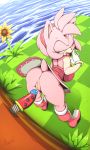  2019 amy_rose anthro anus argento bent_over big_breasts black_nose boots breasts butt clothed clothing digital_media_(artwork) dildo dress eulipotyphlan female flower footwear gloves grass green_eyes hair hairband half-closed_eyes hedgehog hi_res mammal no_underwear open_mouth peach_pussy pink_hair plant plump_labia pussy sex_toy signature solo sonic_(series) sunflower tongue tongue_out 