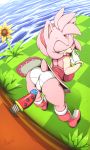  2019 amy_rose anthro argento bent_over big_breasts black_nose boots breasts butt clothing digital_media_(artwork) dildo dress eulipotyphlan female flower footwear gloves grass green_eyes hair hairband half-closed_eyes hedgehog hi_res mammal open_mouth panties peach_pussy pink_hair plant plump_labia pussy sex_toy signature solo sonic_(series) sunflower tongue tongue_out underwear white_panties 