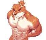  2019 abs anthro biceps episode0006 fur hair hi_res male mammal muscular muscular_male nipples pecs simple_background solo 
