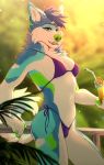  anthro beverage bikini breasts canid canine clothed clothing female fur hair hi_res looking_at_viewer mammal outside smile solo sparkledog standing swimsuit twistedhound 