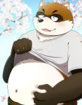  2019 anthro belly blush canid canine clothed clothing cute_fangs humanoid_hands male mammal navel open_shirt outside overweight overweight_male pants raccoon_dog shirt solo takkusk tanuki 