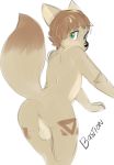  anthro backsack balls bastion blush brown_fur butt canid canine fox fur gavin_camacho green_eyes looking_back male mammal simple_background sketch solo standing 