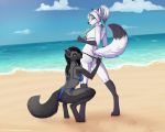  2019 5:4 5_fingers anthro assisted_exposure bikini black_hair black_nose blue_eyes canid canine canis clothing day detailed_background digital_media_(artwork) duo female fox fur hair kitsunewaffles-chan mammal outside sand sky standing sun swimsuit water white_fur white_hair wolf wyla 