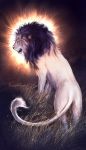  animal commentary fangs grassy highres lion lion_mane no_humans open_mouth original outdoors sunrise watermark web_address wenqing_yan 