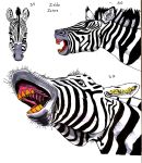  black_fur equid equine fur hi_res mammal multicolored_fur pez_wolf simple_background striped_fur stripes traditional_media_(artwork) two_tone_fur white_background white_fur yellow_teeth zebra zelda_zebra 