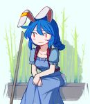 1girl :| animal_ears bamboo bangs blue_dress blue_hair blush bunny_ears bunny_tail closed_mouth collarbone commentary dress ear_clip english_commentary eyebrows_visible_through_hair hair_between_eyes long_hair looking_away puffy_short_sleeves puffy_sleeves red_eyes seiran_(touhou) short_sleeves sitting solo speckticuls tail touhou 