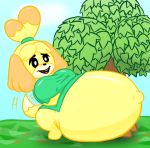  2019 animal_crossing anthro belly big_belly biped bottomless canid canine canis clothed clothing detailed_background domestic_dog featureless_feet female fur hyper hyper_pregnancy isabelle_(animal_crossing) kanahu mammal nintendo partially_clothed pregnant shih_tzu solo video_games yellow_fur 