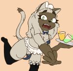  2019 5_fingers anthro breasts brow_fur cleavage clothed clothing clumsy digital_media_(artwork) domestic_cat fangs felid feline felis female four-pundo fur green_eyes grey_fur hi_res holding_object legwear looking_at_viewer mammal miniskirt pussy siamese simple_background skimpy skirt solo thigh_highs undressing waiter wardrobe_malfunction 