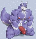  anthro balls big_penis canid canine canis croiyan half-erect hi_res humanoid_penis kneeling male mammal muscular muscular_male nipples nude pecs penis precum solo vein wolf 