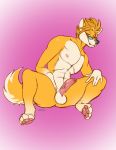  anthro balls canid canine erection eyewear fox glasses hi_res humanoid_penis looking_at_viewer male mammal nude penis purplepardus smile solo spread_legs spreading vein 