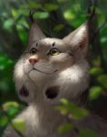  2019 alsares day detailed_background digital_media_(artwork) felid feline fur green_eyes hi_res lynx mammal outside smile solo whiskers white_fur 