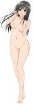  1girl areolae black_eyes black_hair blush breasts cellphone full_body kotegawa_yui long_hair medium_breasts nipples nude open_mouth phone pussy solo standing to_love-ru uncensored 