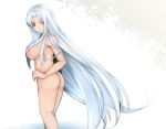  1girl aoshima ass bangs breasts commentary_request feet_out_of_frame hair_censor highres large_breasts long_hair nude red_eyes sakata_nemuno silver_hair simple_background solo standing thighs touhou very_long_hair wading water white_background 