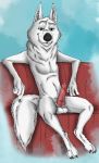  animal_genitalia animal_penis anthro balls blue_eyes canid canine canine_penis canis disney erection fan_character fur knot looking_at_viewer male mammal penis sheath sitting sofa solo white_fur wolf ziegelzeig zootopia 