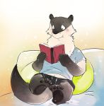  2018 anthro black_nose blush book clothing humanoid_hands male mammal mustelid nele_chung reading shorts sitting solo 