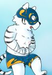  2018 anthro belly black_nose blue_fur cute_fangs felid fur hi_res humanoid_hands male mammal mask nele_chung nipples pantherine scar solo tiger white_fur wrestling 