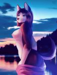  anthro blue_eyes breasts butt canid canine canis domestic_dog eri-yo female hair hi_res husky mammal nipples nordic_sled_dog outside pink_nipples sky solo spitz standing water white_belly 