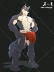  2019 abs absurd_res acah_orange anthro biceps canid canine canis clothing digital_media_(artwork) erection erection_under_clothes fur hi_res male mammal muscular muscular_male nipples pecs wolf 