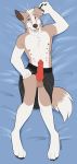 2019 absurd_res animal_genitalia animal_penis anthro balls bed belly belt border_collie canid canine canine_penis canis claws clothed clothing clothing_lift collie dakimakura_design digital_media_(artwork) domestic_dog erection fur hair herding_dog hi_res kilt knot looking_at_viewer lying male mammal nipples on_back open_mouth penis presenting rusty sheepdog shimmi simple_background skirt skirt_lift smile solo teeth toe_claws tongue 