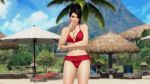  dead_or_alive long_hair momiji swimsuit tagme 