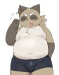  2019 absurd_res anthro belly brown_fur bulge canid canine clothing ekubo eyes_closed fur hi_res humanoid_hands male mammal moobs navel nipples overweight overweight_male raccoon_dog simple_background solo tanuki underwear white_background young 