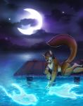  2019 anthro black_nose brown_fur canid canine cloud digital_media_(artwork) digitigrade fur hi_res male mammal moon night nude outside shariea signature sky spirits star starry_sky water 