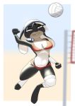  2019 anthro ball biting_lip border breasts clothed clothing detailed_background digital_media_(artwork) female hat lagomorph leporid mammal midair midriff navel outside rabbit smile solo sport sweat volleyball volleyball_(ball) volleyball_net white_border yellow_eyes yitexity 