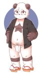  anthro clothed clothing cub footwear giant_panda loincloth male mammal navel open_shirt sandals slightly_chubby solo standing star_marking ursid xiao_weiba young 