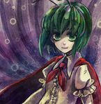  bad_id bad_pixiv_id bangs demo_(takakong) green_hair short_hair solo touhou wriggle_nightbug 