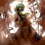  ascot blood glowing glowing_eyes green_hair haji_(hajiko) kazami_yuuka laughing light_trail open_mouth red_eyes short_hair skirt skirt_set solo touhou vest 