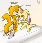  cream_the_rabbit sonic_team tagme tails 