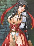  queen&#039;s_blade tagme tomoe 