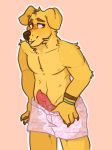  anthro bojack_horseman brown_eyes canid canine canis captainjule domestic_dog erection fur male mammal mr._peanutbutter penis simple_background solo standing yellow_fur 
