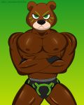 2019 abs bear_mask build-a-bear(klr-rio) clothed clothing dark_skin digital_media_(artwork) fur gloves hi_res human invalid_color klr-rio legwear looking_at_viewer male mammal mask muscular muscular_male nipples pecs simple_background solo tights topless underwear wrestler 