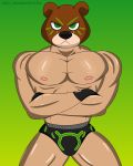  2019 abs bear_mask build-a-bear(klr-rio) clothed clothing digital_media_(artwork) fur gloves hi_res human invalid_color klr-rio legwear looking_at_viewer male mammal mask muscular muscular_male nipples pecs simple_background solo tights topless underwear white_skin wrestler 