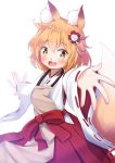  1girl animal_ear_fluff animal_ears apron bangs blonde_hair blush brown_apron commentary_request eyebrows_visible_through_hair fang flower fox_ears fox_girl fox_tail hair_between_eyes hair_flower hair_ornament highres japanese_clothes kimono long_sleeves looking_at_viewer mochiyuki open_mouth outstretched_arms red_flower red_hair ribbon-trimmed_sleeves ribbon_trim senko_(sewayaki_kitsune_no_senko-san) sewayaki_kitsune_no_senko-san simple_background sleeves_past_wrists solo spread_arms tail tail_raised white_background white_kimono wide_sleeves yellow_eyes 