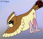  2019 animal_genitalia anus avian balls beak bird butt darkened_genitals digital_media_(artwork) erection feathered_wings feathers feral looking_back male nintendo penis pidgey pok&eacute;mon pok&eacute;mon_(species) presenting presenting_hindquarters puffy_anus rapistwerewolf rear_view simple_background solo video_games wings 