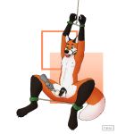  2019 absurd_res anthro ball_gag balls bdsm bondage bound canid canine chastity chastity_cage collar cuffs_(disambiguation) fox fur gag gagged green_eyes hands_above_head hands_tied hemlock_(hemlockfoxy) hi_res hitachi_magic_wand legs_tied male mammal nexii nipples nude orange_fur paws penis precum sex_toy shackles simple_background sitting smile solo spreader_bar submissive submissive_male vibrator 