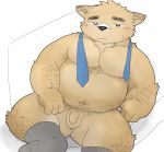  2017 anthro balls belly canid canine canis domestic_dog flaccid humanoid_hands humanoid_penis male mammal moobs necktie nipples och5 overweight overweight_male penis sitting solo tired 