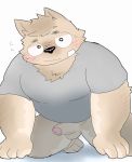 2017 anthro balls black_nose blush canid canine canis clothing domestic_dog erection humanoid_hands humanoid_penis male mammal och5 penis shirt simple_background slightly_chubby solo topwear white_background 