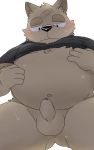  2017 anthro balls belly blush butt canid canine canis clothed clothing domestic_dog erection humanoid_hands humanoid_penis male mammal navel och5 open_shirt overweight overweight_male penis shirt simple_background sitting sweat topwear white_background 