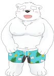  2017 anthro belly black_nose blush canid canine canis clothing cute_fangs domestic_dog fur humanoid_hands male mammal moobs navel nipples och5 simple_background slightly_chubby solo swimwear white_background white_fur 