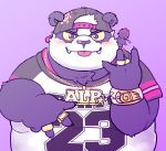  2019 alp_(tas) anthro belly black_nose blush clothing cute_fangs dysk3 english_text fur giant_panda hat male mammal overweight overweight_male purple_background purple_fur shirt simple_background solo text tokyo_afterschool_summoners tongue tongue_out topwear ursid video_games 