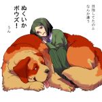  alternate_species canid canine canis domestic_dog duo fate_(series) feral feralized human male mammal molosser mountain_dog rider_iskander saint_bernard size_difference tango_gunma waver_velvet 