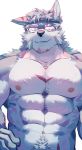  2019 abs anthro biceps canid canine canis digital_media_(artwork) eyewear facial_hair fur glasses hair hi_res male mammal muscular muscular_male nipples pecs sadonghao wolf 