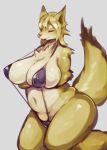  anthro belly big_breasts bikini breasts canid canine clothed clothing female fox kemono mammal nipple_outline skimpy slightly_chubby sling_bikini solo solterv swimwear thick_thighs 