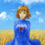  1girl blue_sky breasts brown_eyes brown_hair closed_mouth cloud commentary_request earrings field highres jewelry kaze_no_tani_no_nausicaa looking_at_viewer nausicaa short_hair sky smile solo studio_ghibli 